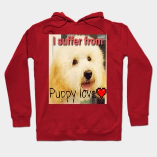 I suffer from puppy love Hoodie